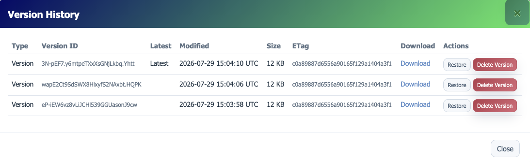 S3 object version history
