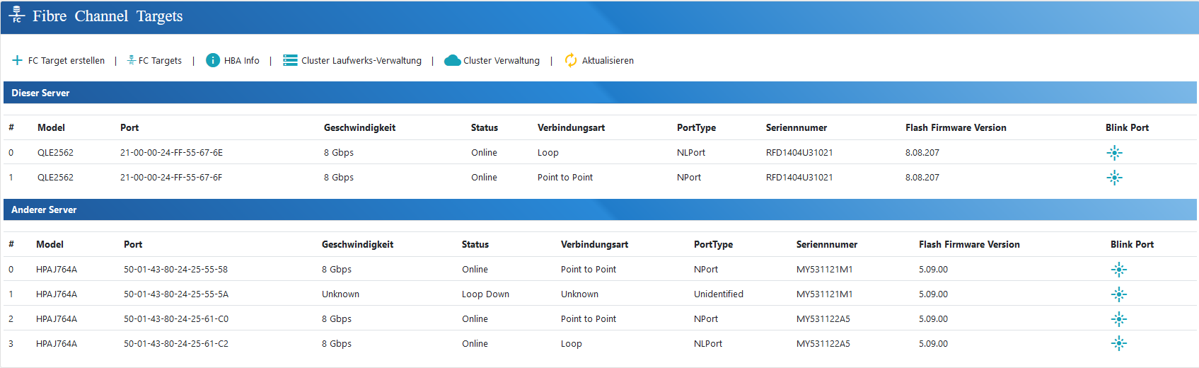 euroNAS Fibre Channel HBA-Übersicht mit WWPN und Verbindungsstatus
