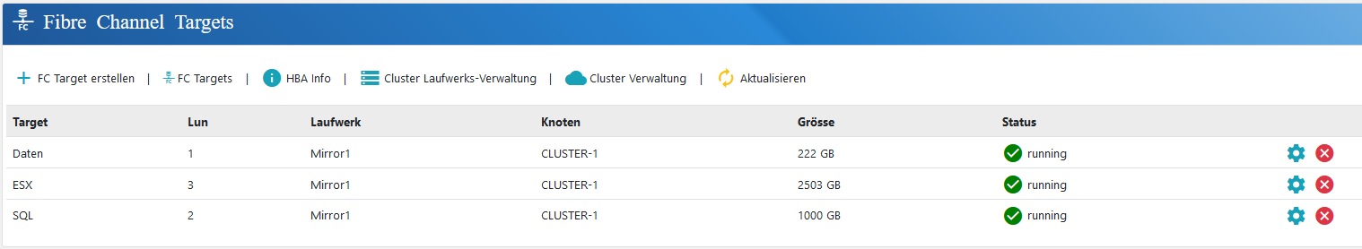 euroNAS Fibre Channel Zielübersicht mit LUN-Zuordnung und Status